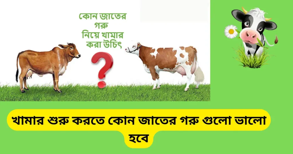 গরুর খামার করতে ব্যাংক লোন কিভাবে নিব লোন নেবার উপায়