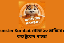 Hamster kombat থেকে ২০ তারিখে কে কত টুকেন পাবে